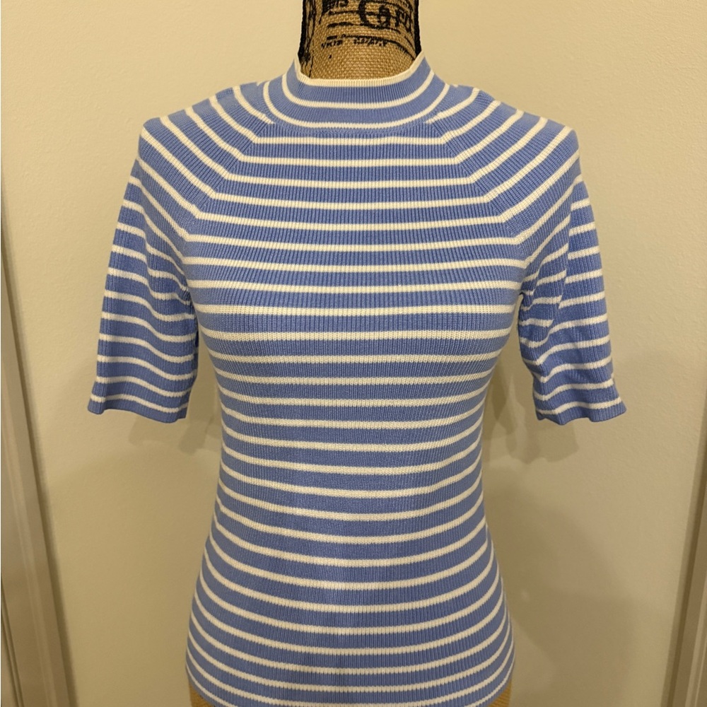 Ann Taylor Blue and White Striped Short Sleeve Sweater